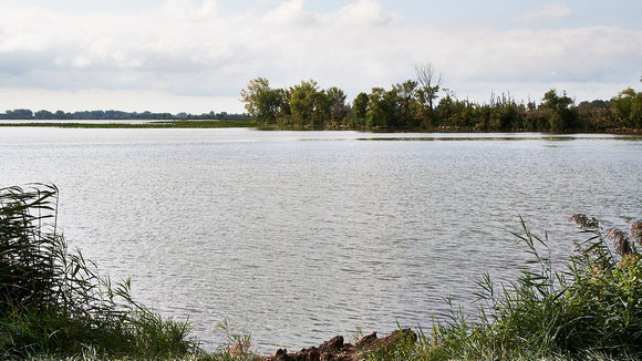 Hillman Marsh