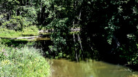 Percy Creek
