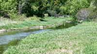 Baxter Creek