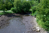 Cobourg Creek