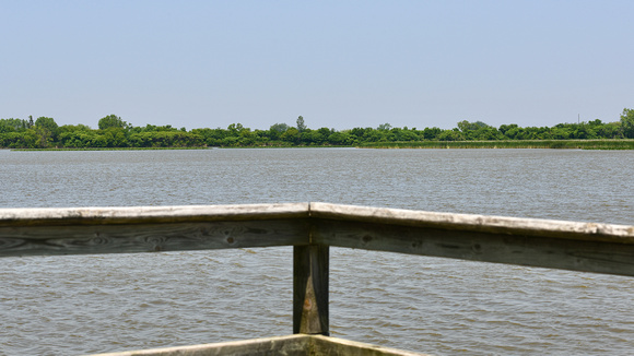 Sanctuary Pond - deck 1