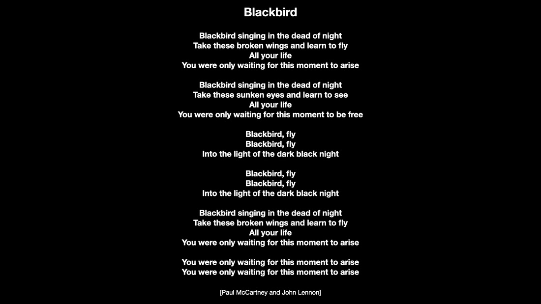 Blackbird.001