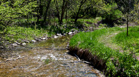 Cobourg Creek 1