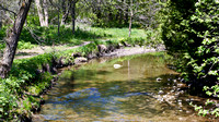 Cobourg Creek 2