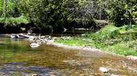 Cobourg Creek 3