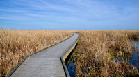 kaitiakitanga - Marsh Boardwalk